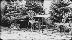 Art. History. Experience. – Locație evenimente premium în inima Bucureștiului interbelic